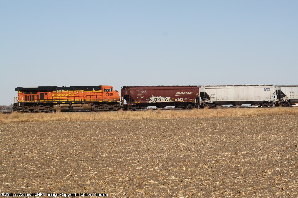 BNSF 7695, the famed "golden swoosh" locomotive, brings up the rear of an eastbound grain train